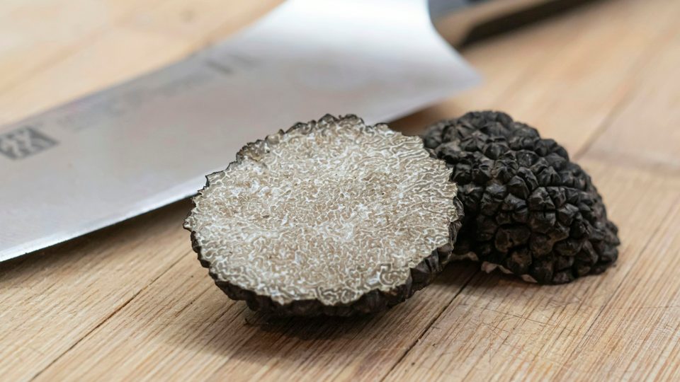 Fresh Istrian truffles from Motovun forest, Istria Croatia travel guide