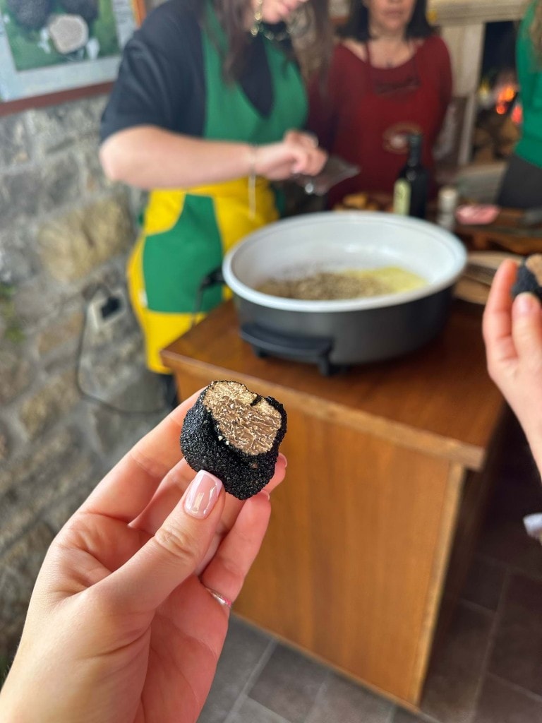 Freshly cut Istrian black truffle showing white marbling, held after the hunt